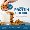 Protein Cookie (7ct) image number null